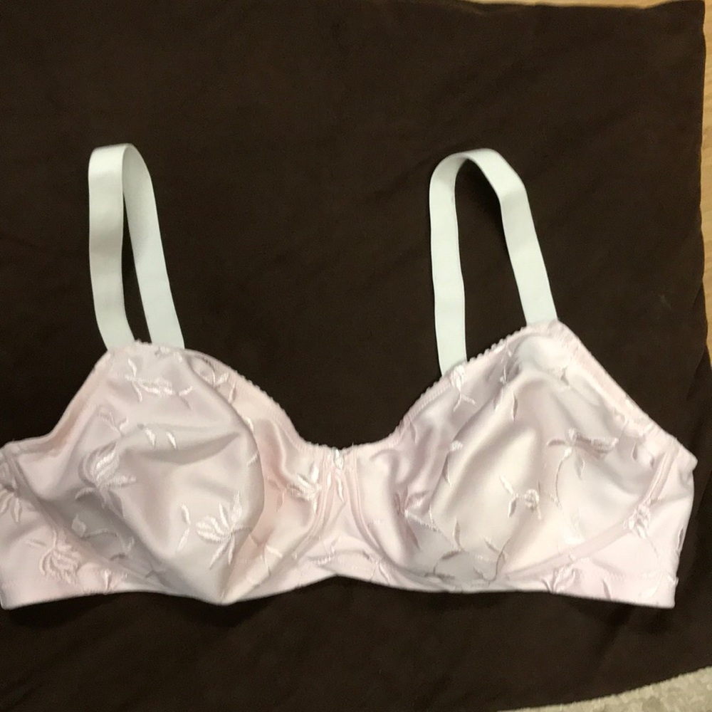 Pastel Pink Bra